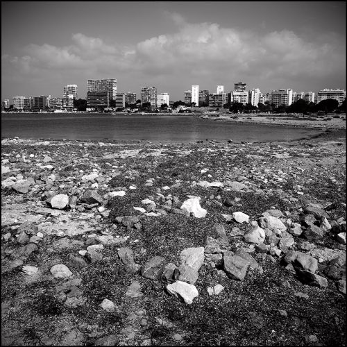 w errance-albufera-001