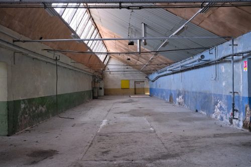 Beuchot-0034
