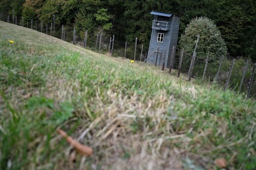 struthof-0012